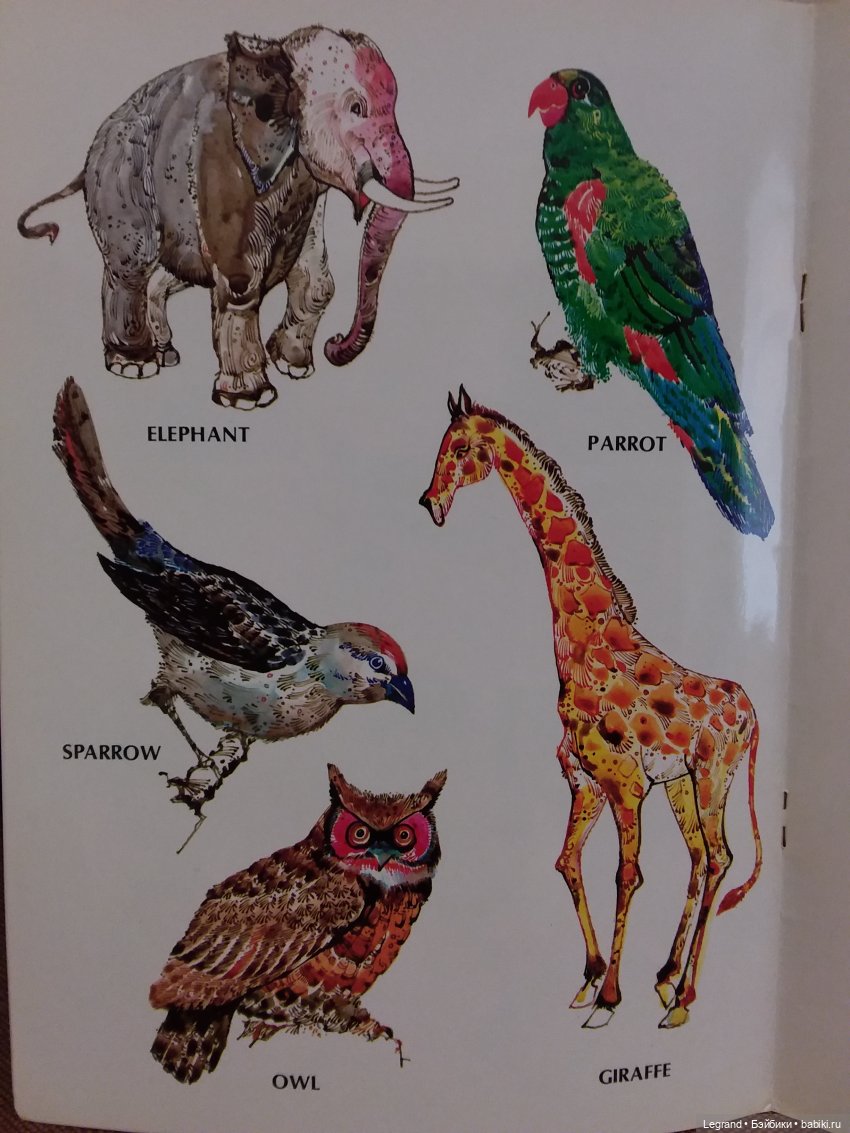 Продолжаю играть с мишками: Гри читает мои детские книжки и отдыхает у бассейна