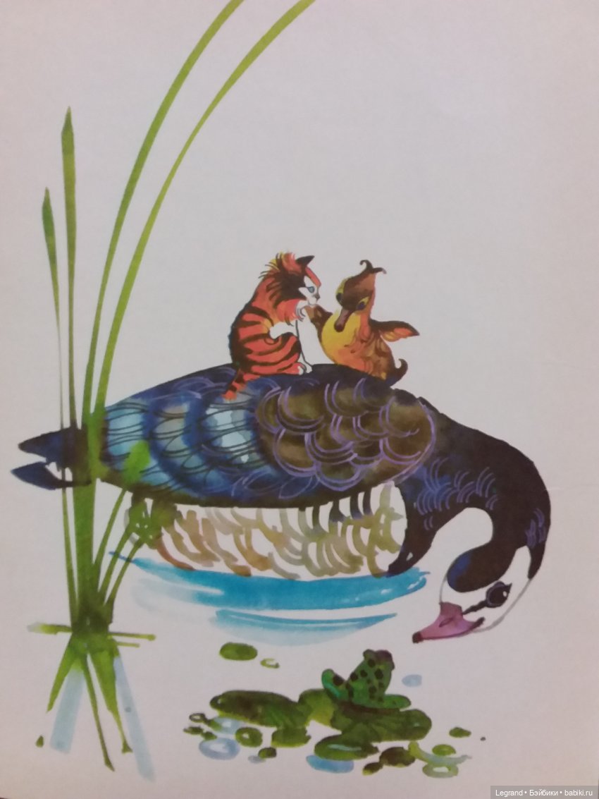 Продолжаю играть с мишками: Гри читает мои детские книжки и отдыхает у бассейна