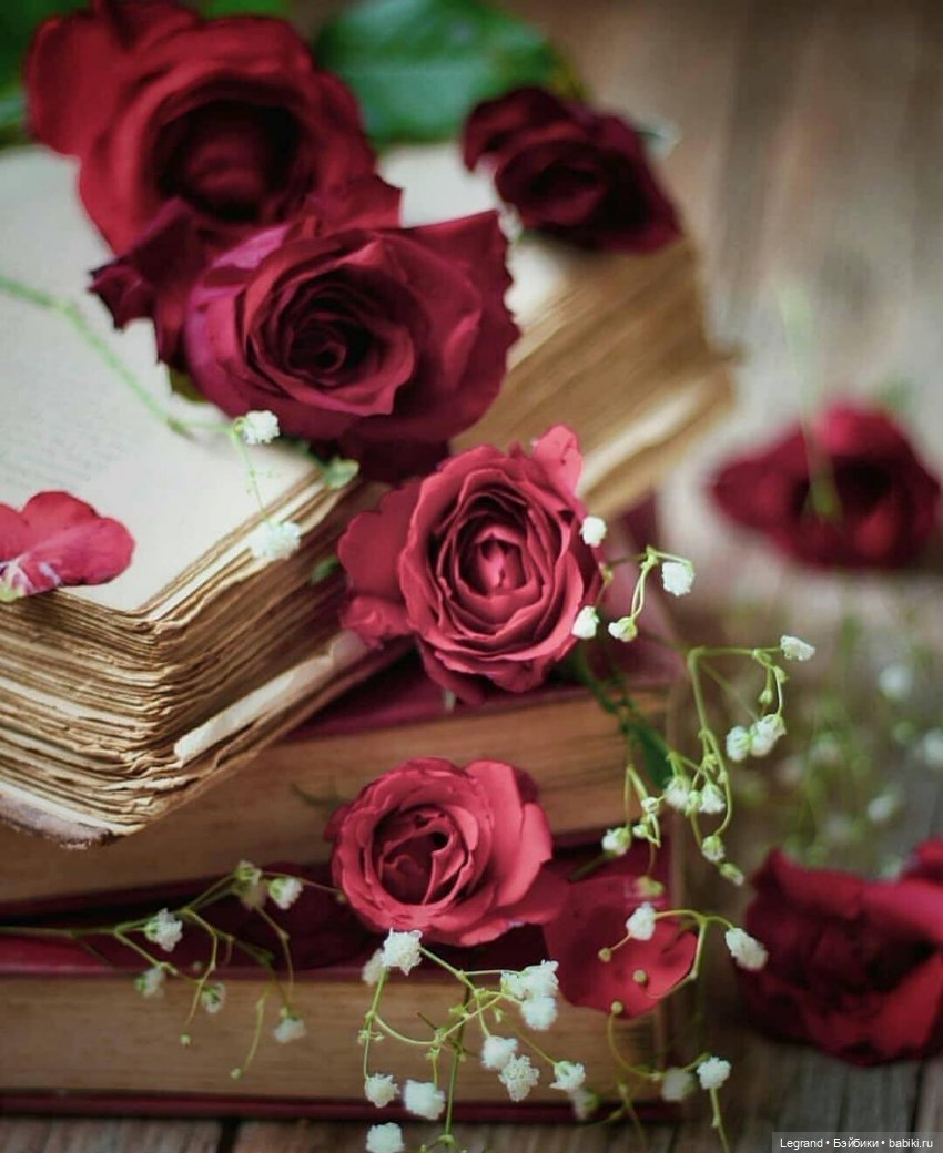 Они сами пишут свои истории: Лестату от Соланж (фото 5)