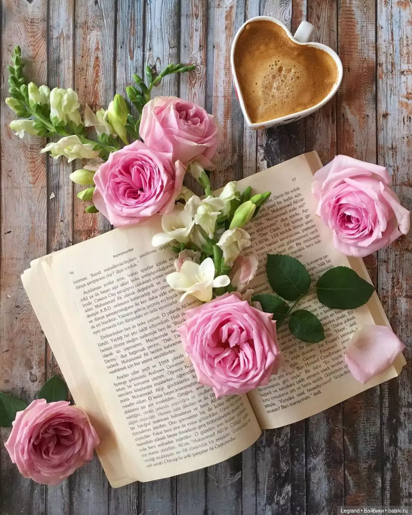 Они сами пишут свои истории: Лестату от Соланж (фото 2)