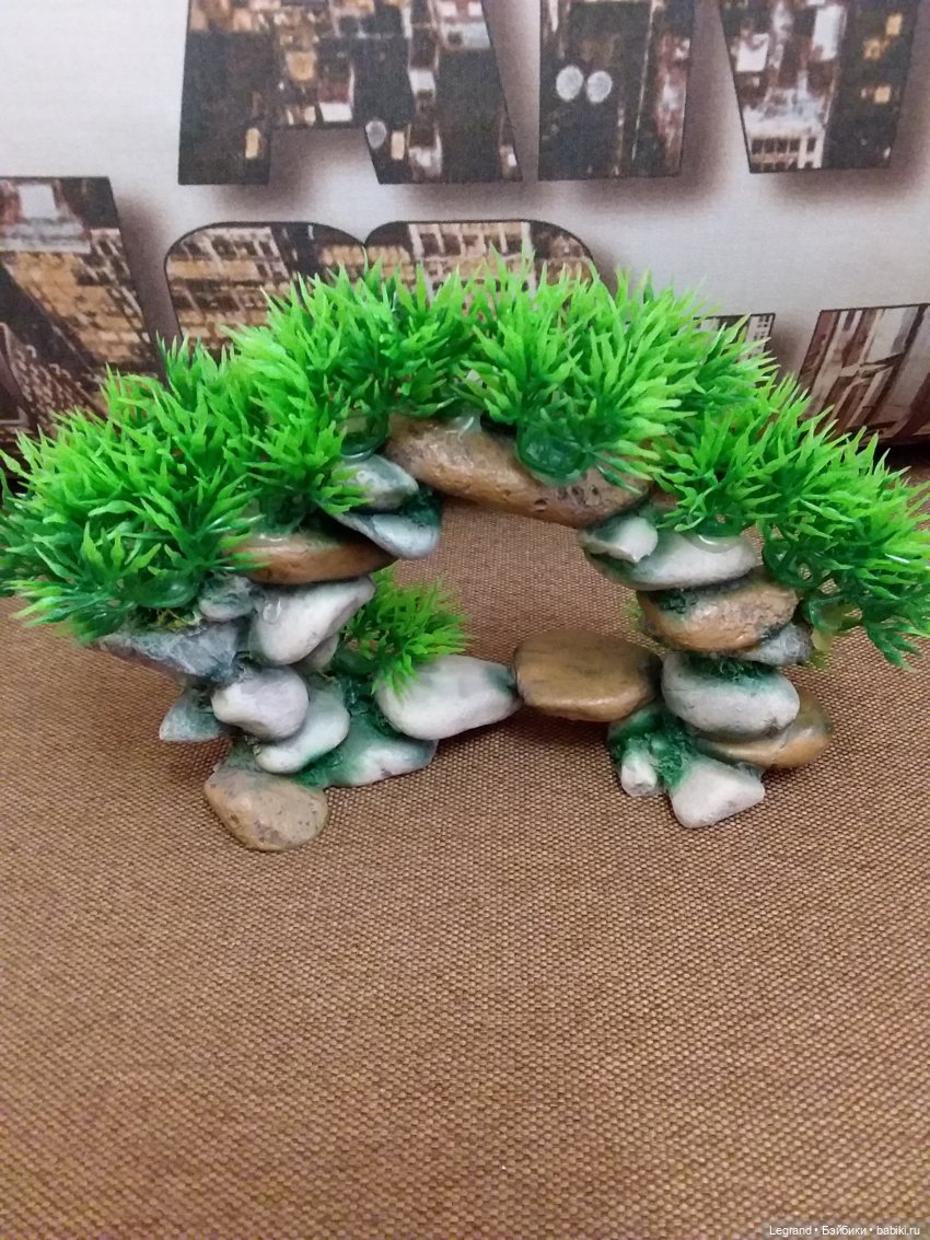 Наш бекстейдж: декоративная зелень (фото 7)