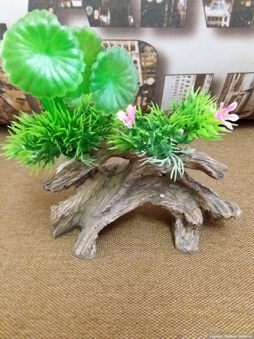 Наш бекстейдж: декоративная зелень (фото 9)