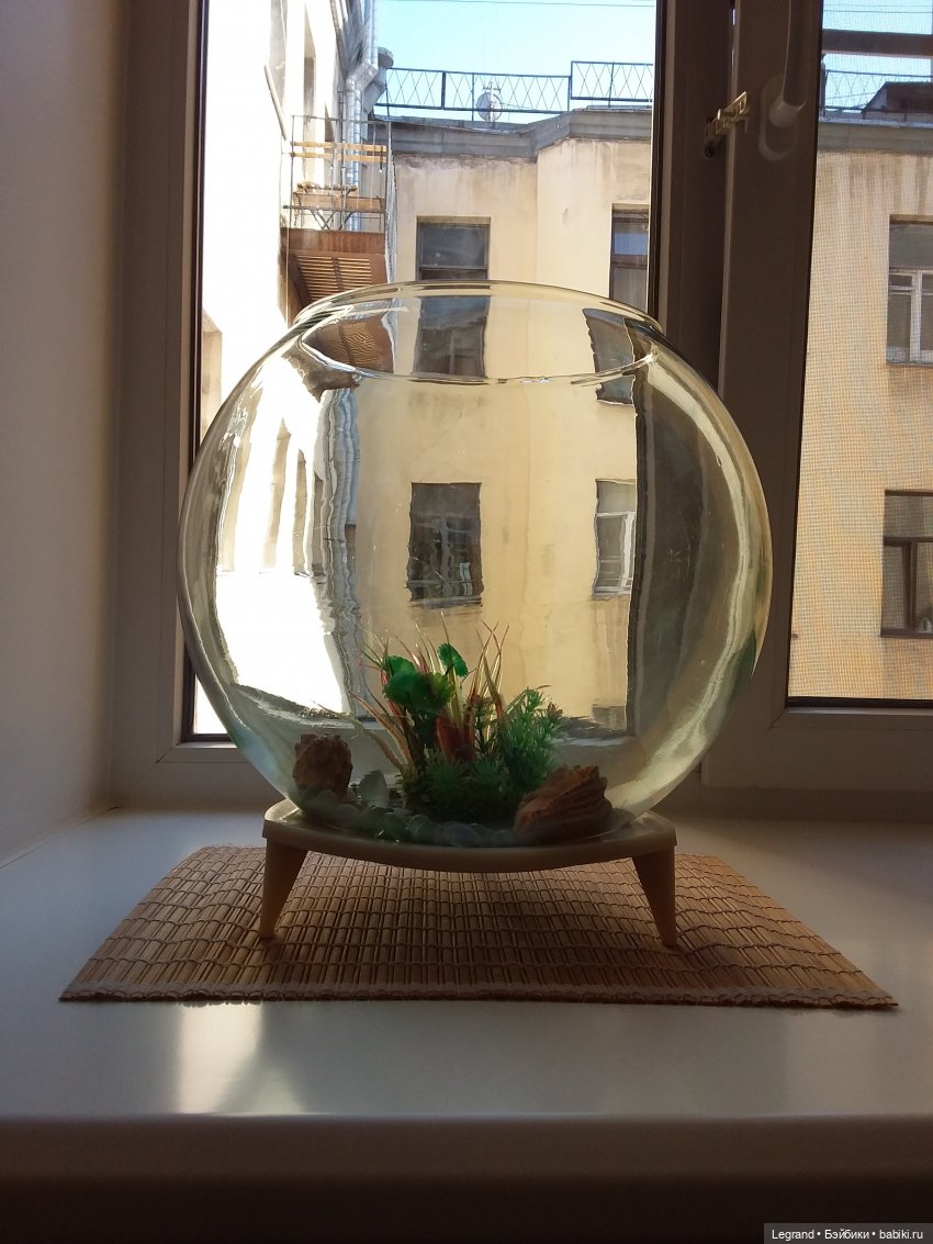 Наш бекстейдж: декоративная зелень (фото 3)