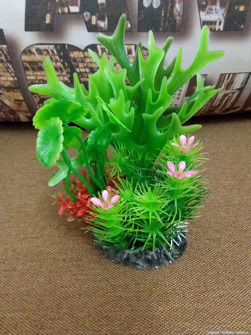 Наш бекстейдж: декоративная зелень (фото 8)