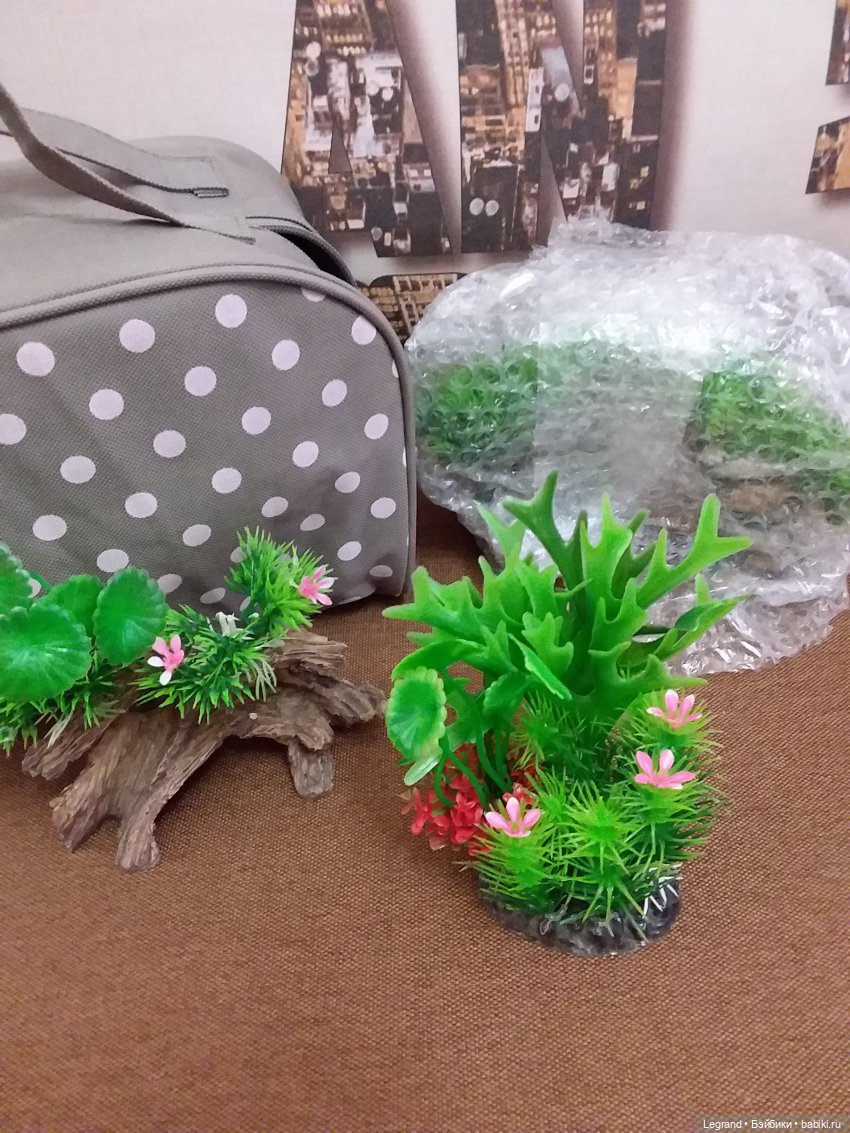 Наш бекстейдж: декоративная зелень (фото 6)