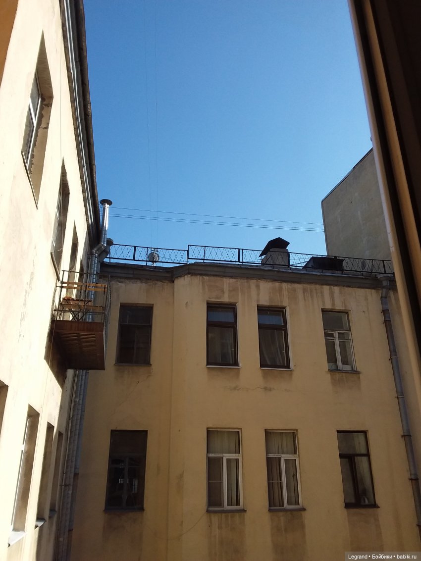 Наш бекстейдж: декоративная зелень (фото 4)