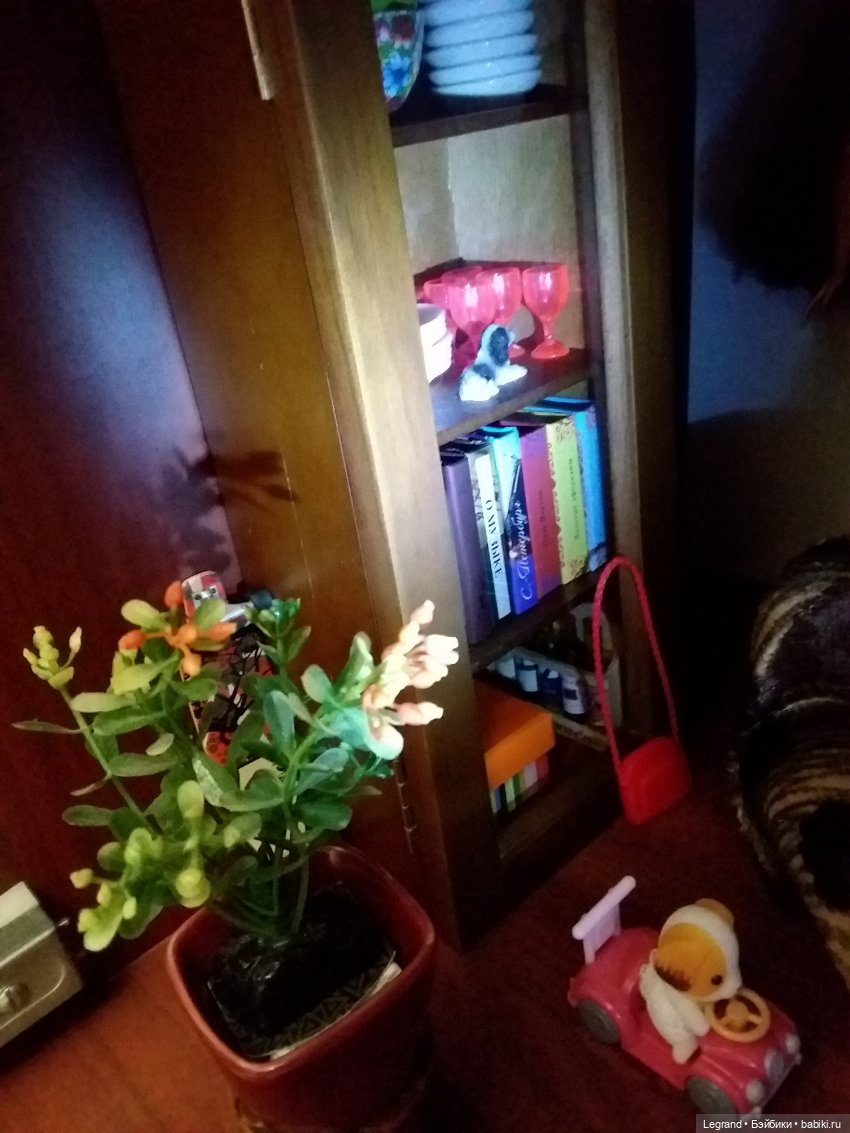 Наш бекстейдж: декоративная зелень