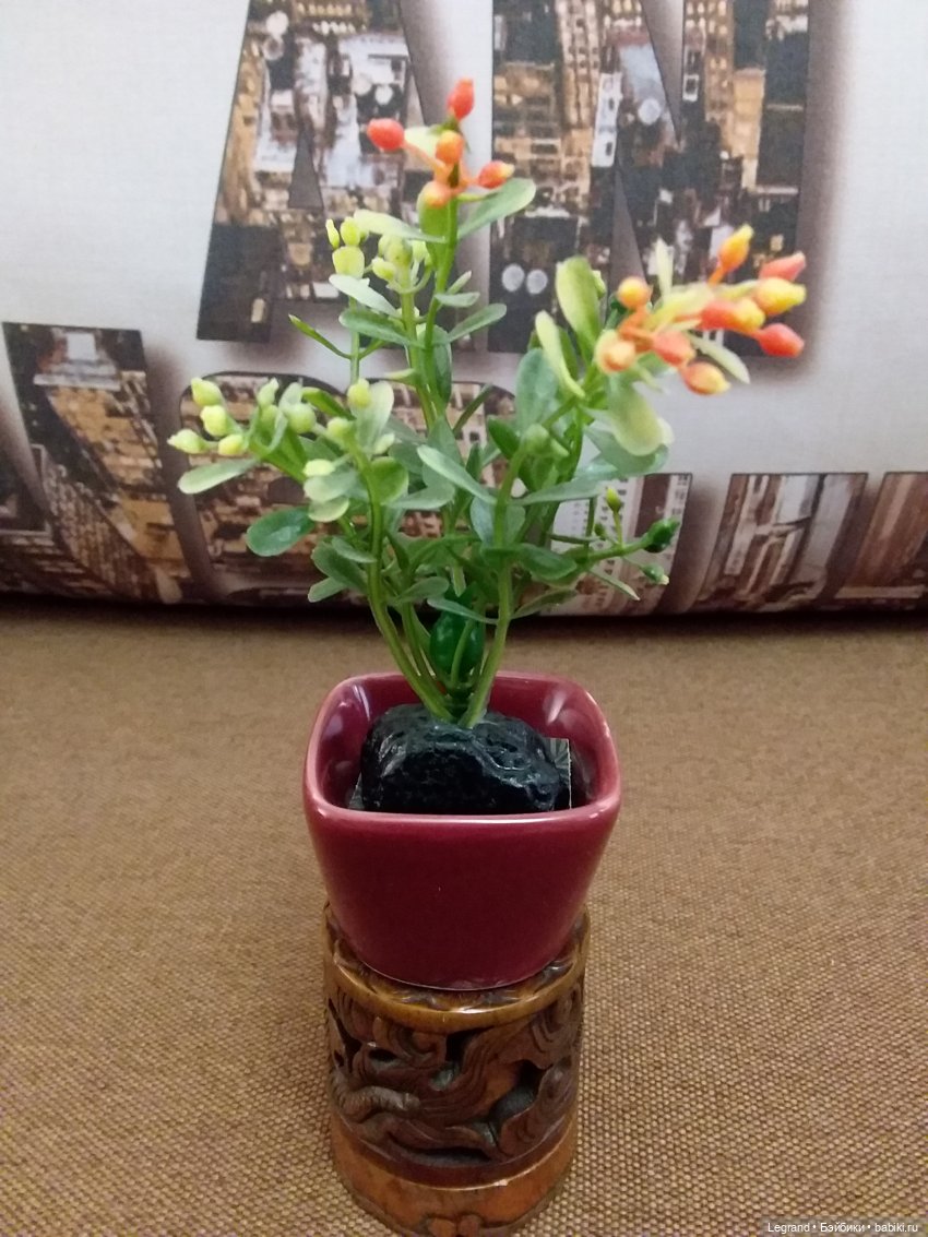 Наш бекстейдж: декоративная зелень (фото 10)