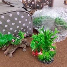 Наш бекстейдж: декоративная зелень