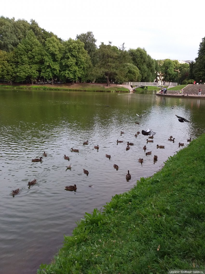 Прогулка по Петербургу — Туризм и путешествия: фотоотчеты из поездок