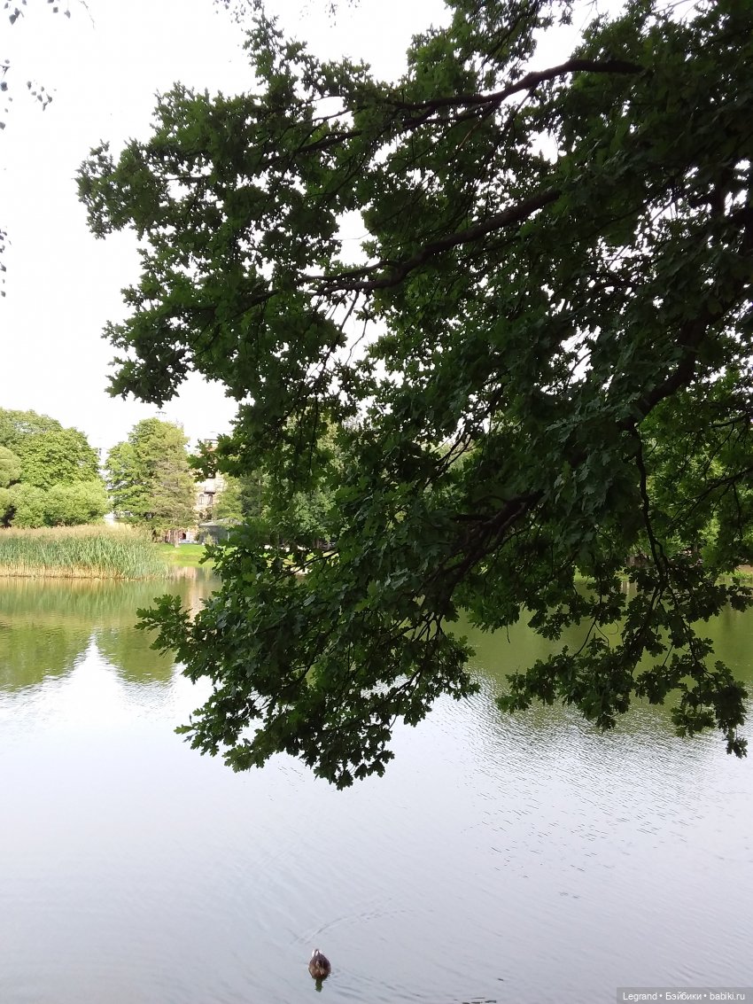 Прогулка по Петербургу — Туризм и путешествия: фотоотчеты из поездок