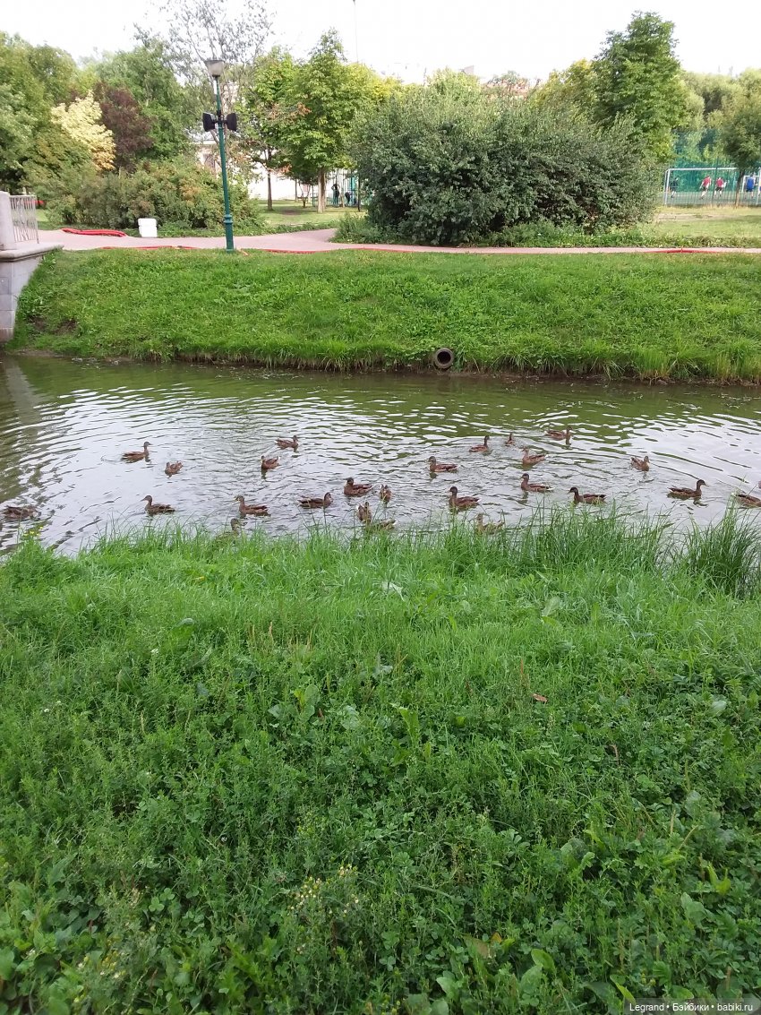 Прогулка по Петербургу — Туризм и путешествия: фотоотчеты из поездок