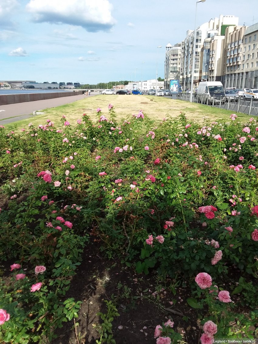 Прогулка по Петербургу — Туризм и путешествия: фотоотчеты из поездок