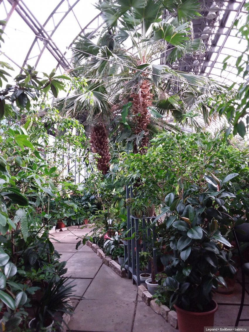 Прогулка по Петербургу — Туризм и путешествия: фотоотчеты из поездок