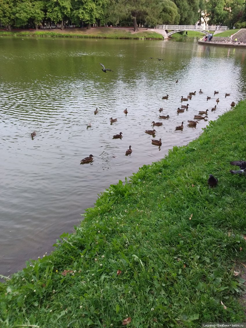 Прогулка по Петербургу — Туризм и путешествия: фотоотчеты из поездок