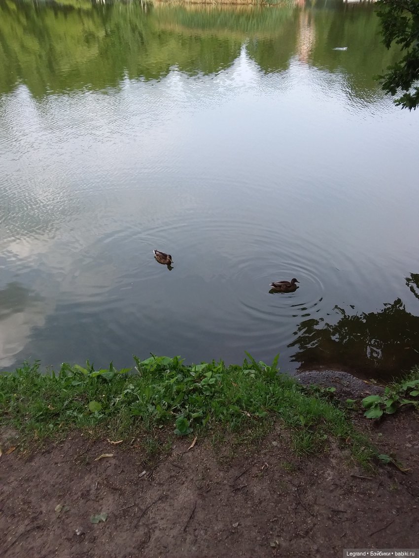 Прогулка по Петербургу — Туризм и путешествия: фотоотчеты из поездок