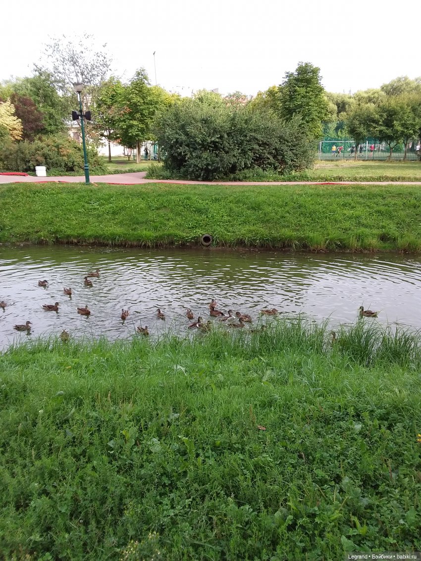 Прогулка по Петербургу — Туризм и путешествия: фотоотчеты из поездок