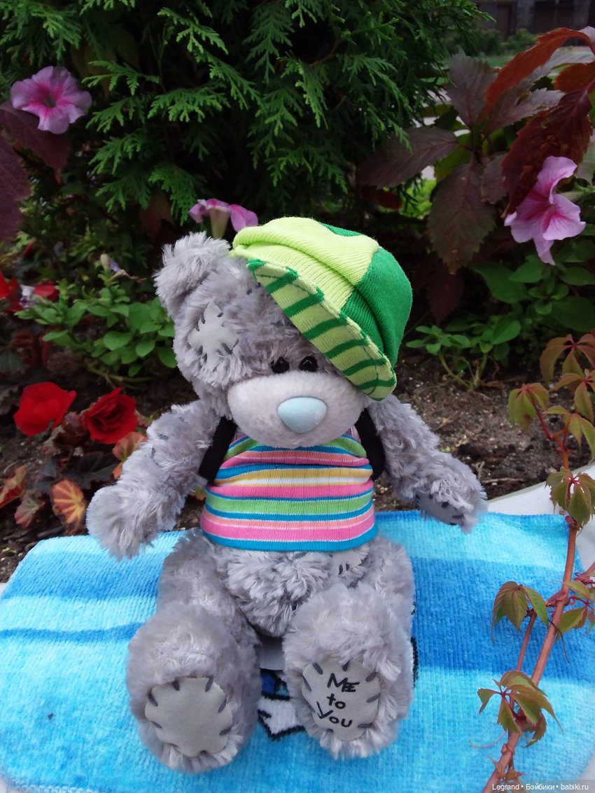 Снова мишки: короткая прогулка с Гри