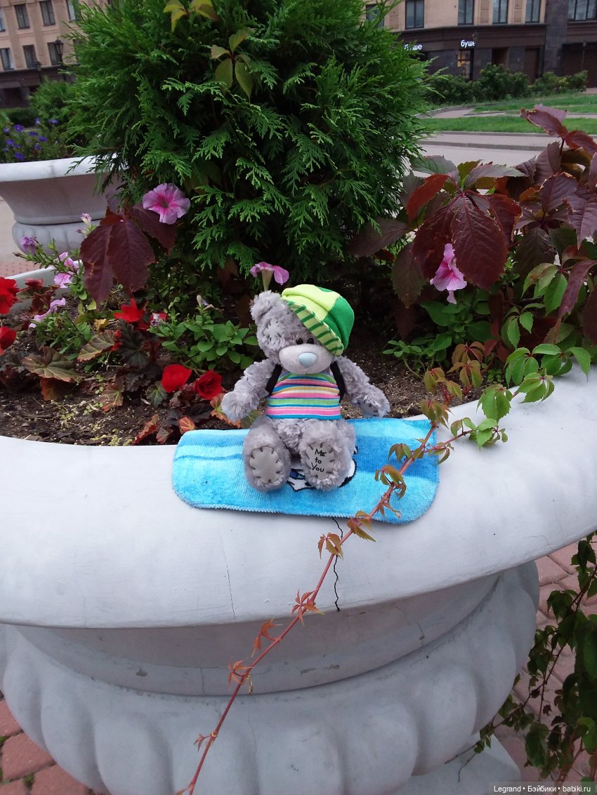 Снова мишки: короткая прогулка с Гри