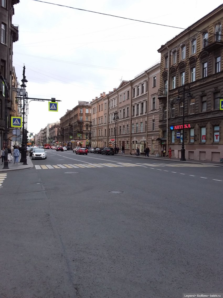 Снова мишки: короткая прогулка с Гри