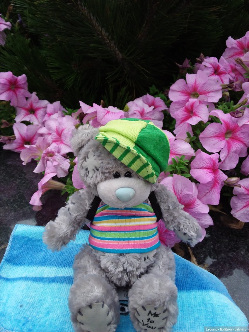 Снова мишки: короткая прогулка с Гри