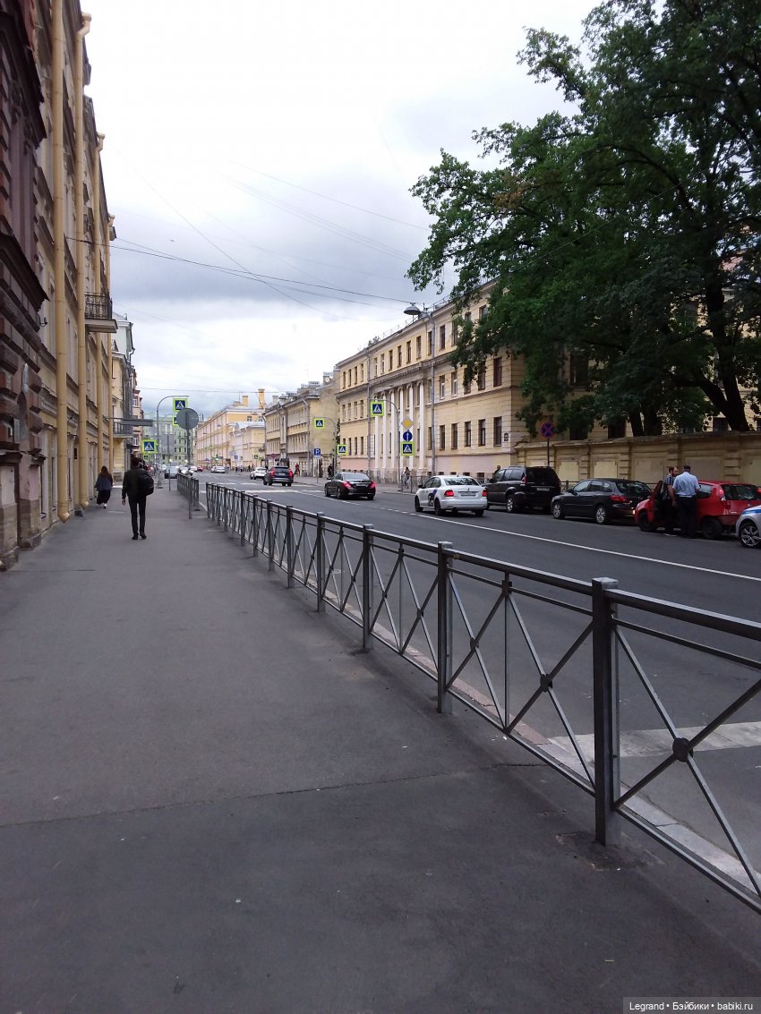 Снова мишки: короткая прогулка с Гри