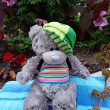 Снова мишки: короткая прогулка с Гри