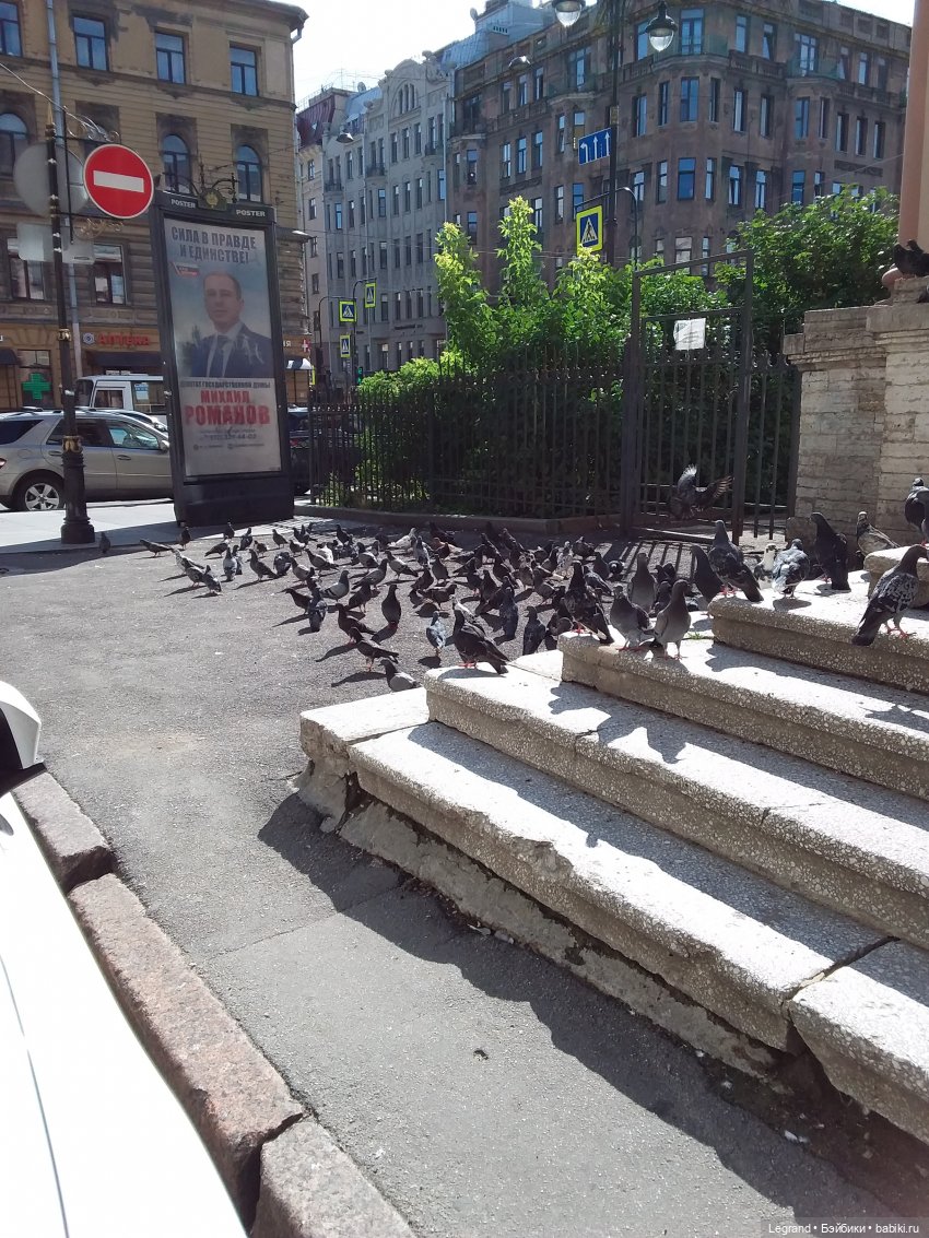 Ещё немного Петербурга — Туризм и путешествия: фотоотчеты из поездок