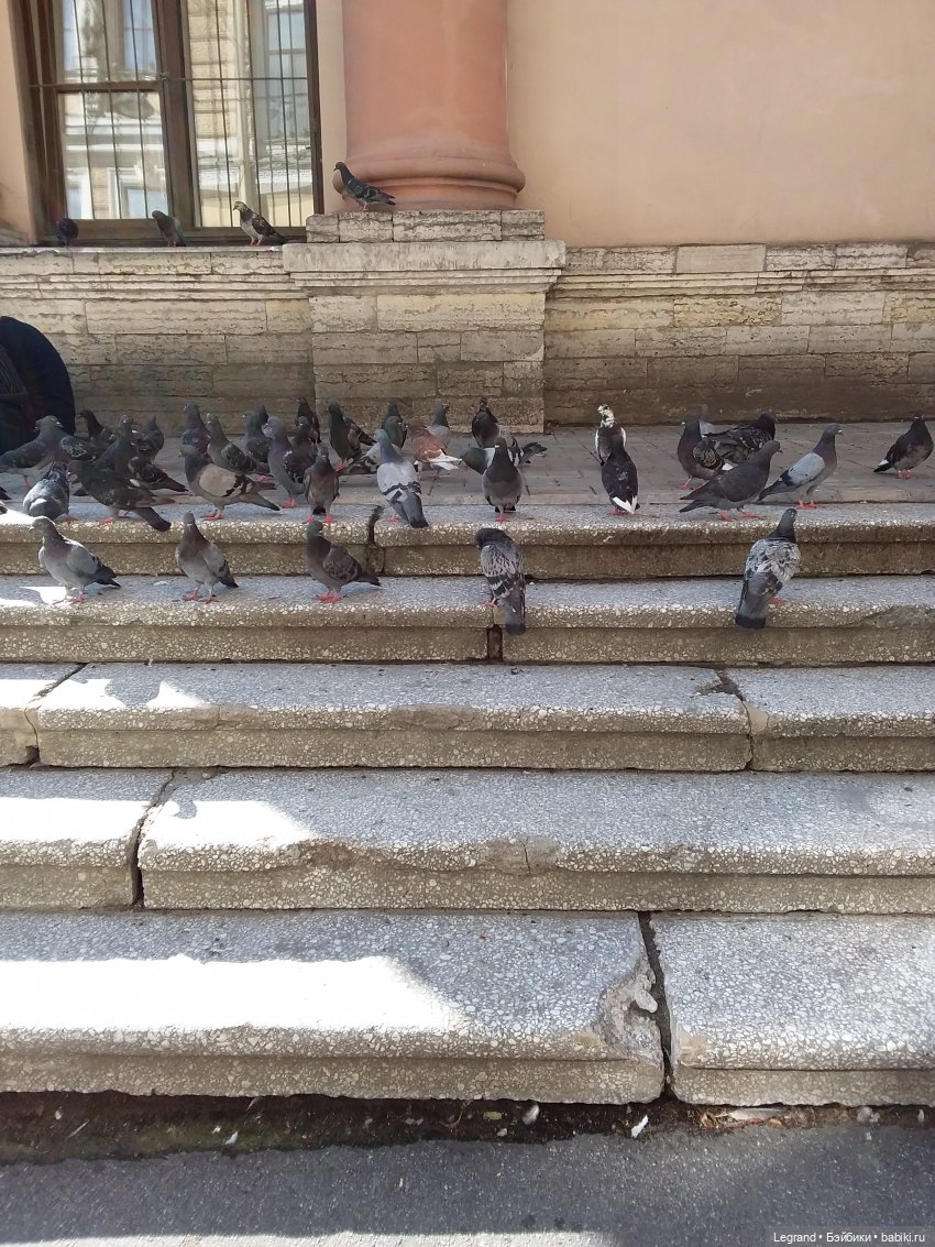 Ещё немного Петербурга — Туризм и путешествия: фотоотчеты из поездок