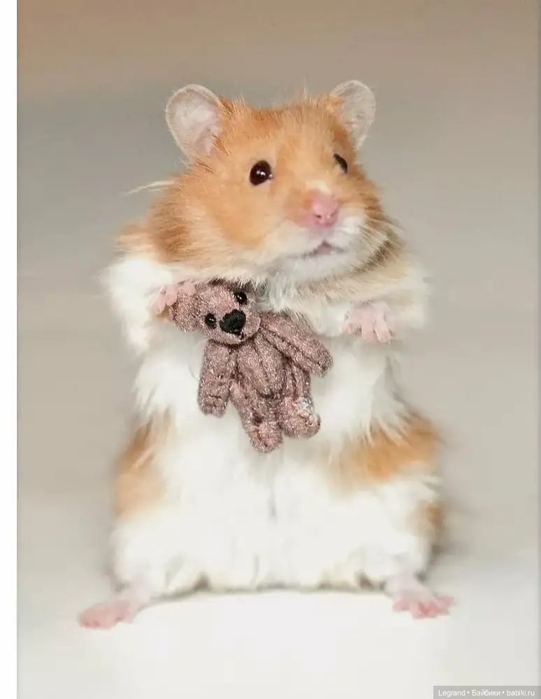 Подарки из Кукловска — Кукольная миниатюра своими руками: еда