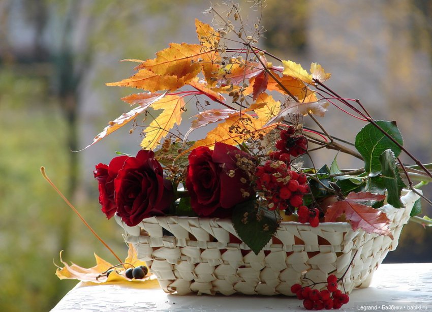 Они сами пишут свои истории: "В паре шагов от осени..." (фото 5)