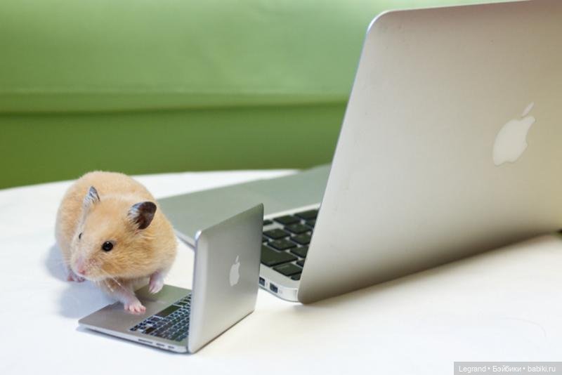 Все люди как люди: тратят на кукол, а я - на кукломелочи (фото 2)