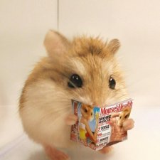 Все люди как люди: тратят на кукол, а я - на кукломелочи