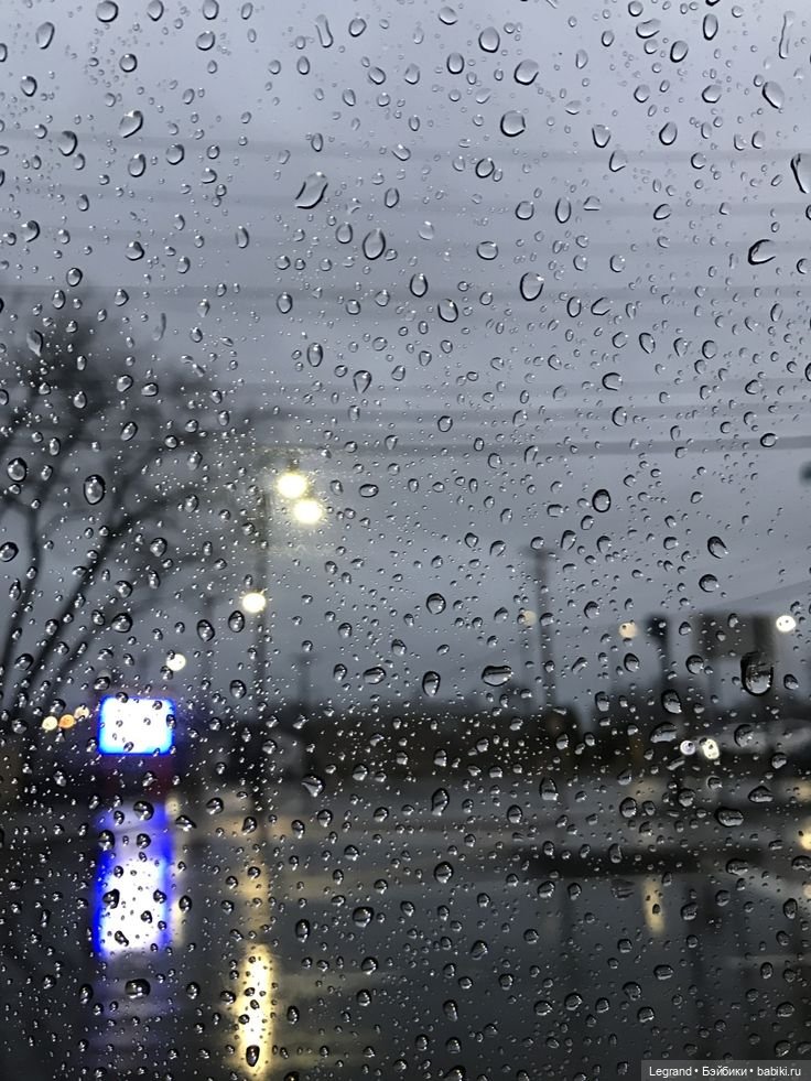 Лестат де Лионкур: Моим друзьям посвящается (фото 8)