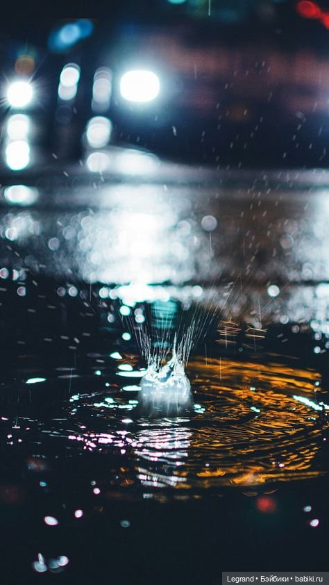 Лестат де Лионкур: Моим друзьям посвящается (фото 3)