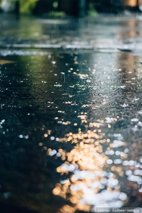 Лестат де Лионкур: Моим друзьям посвящается (фото 6)