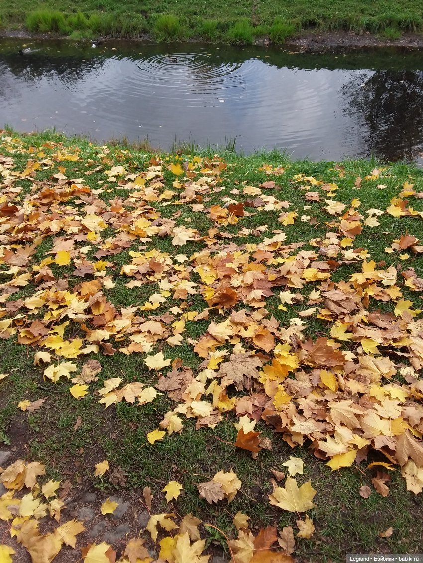 И снова осень... Стихи Лестата (фото 4)