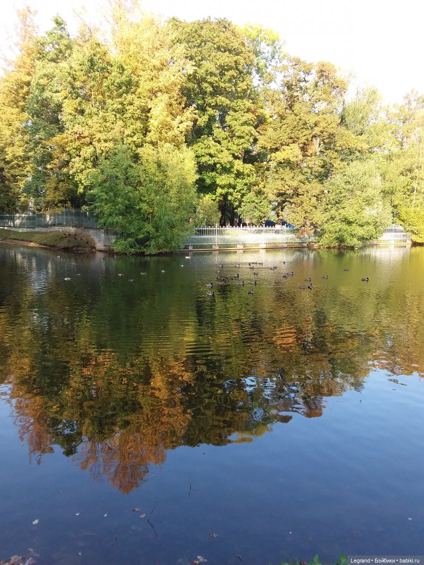 И снова осень... Стихи Лестата (фото 3)