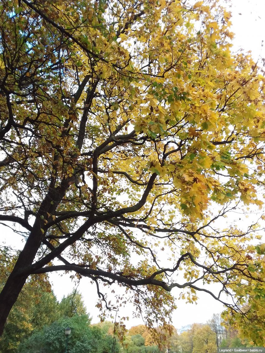 И снова осень... Стихи Лестата (фото 6)