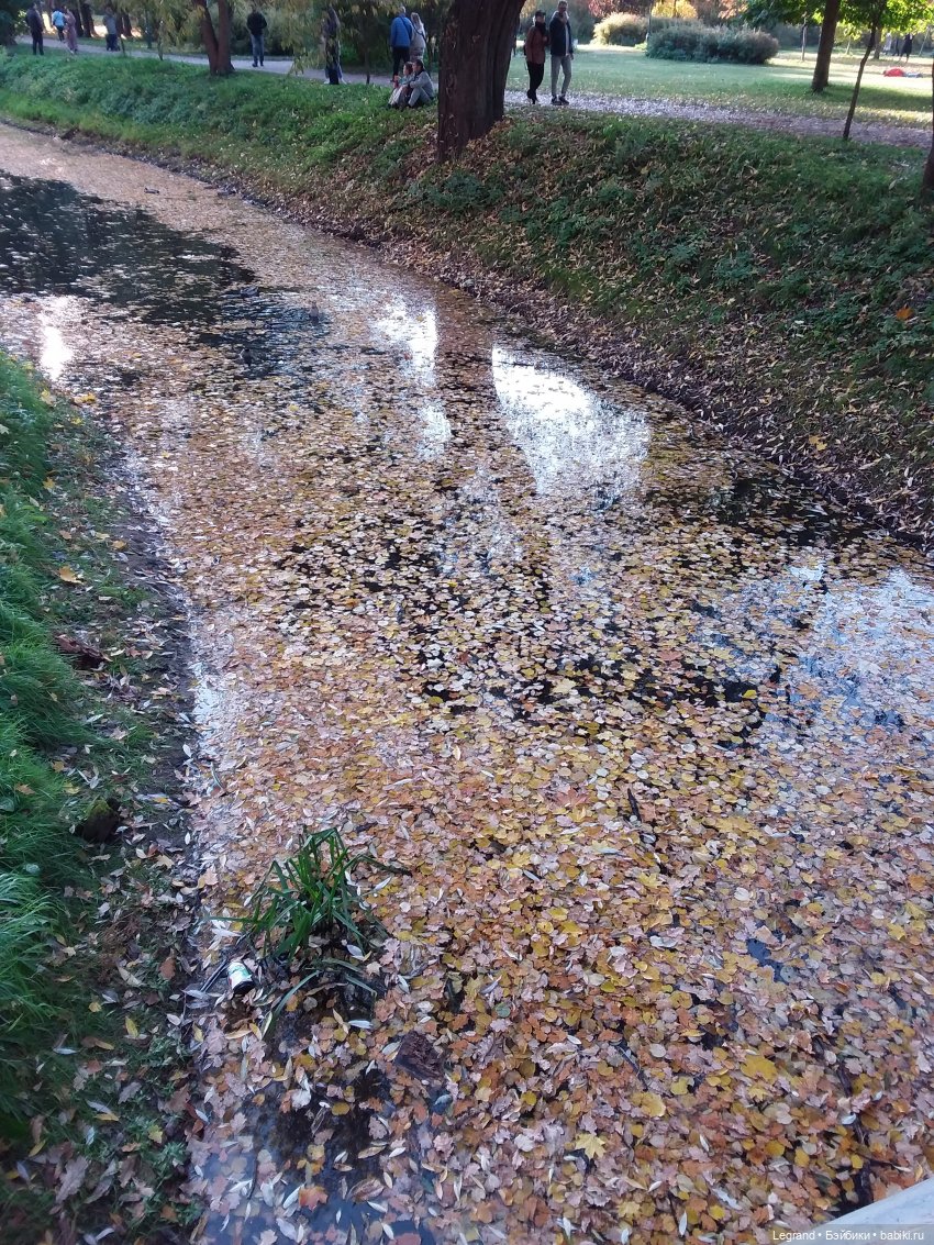 Золотая осень в Петербурге. Таврический сад