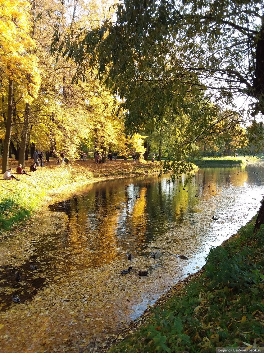 Золотая осень в Петербурге. Таврический сад