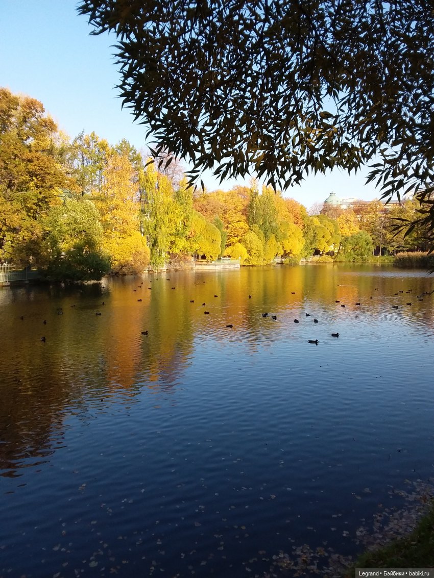 Золотая осень в Петербурге. Таврический сад