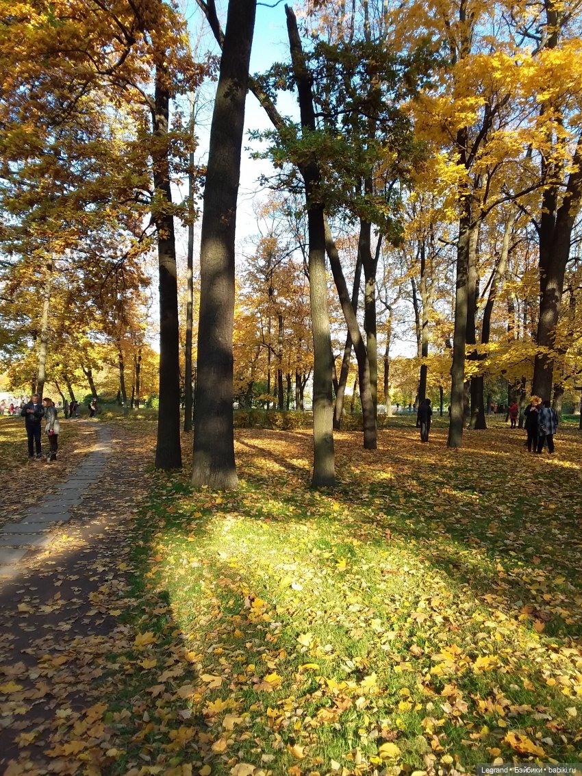 Золотая осень в Петербурге. Таврический сад (фото 6)
