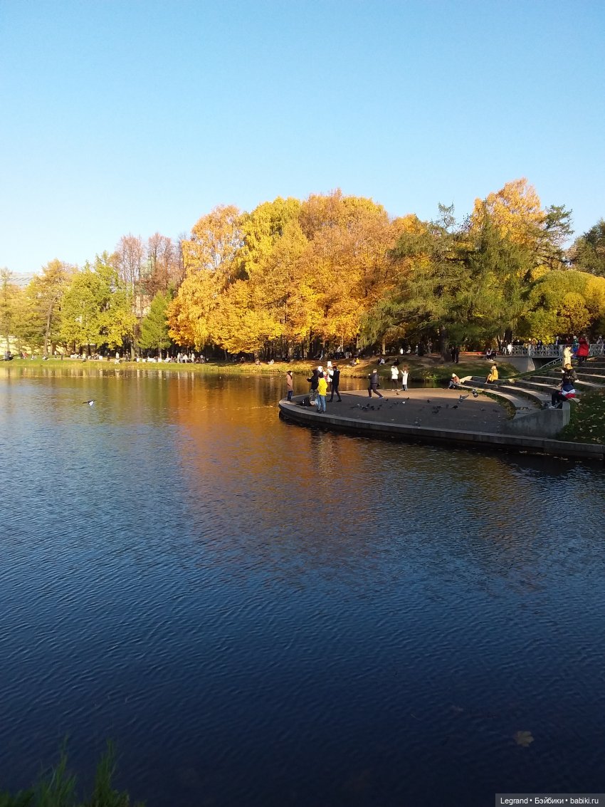 Золотая осень в Петербурге. Таврический сад