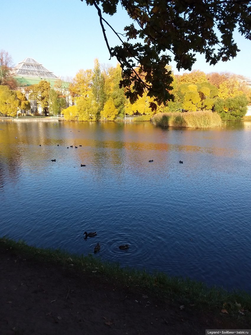 Золотая осень в Петербурге. Таврический сад