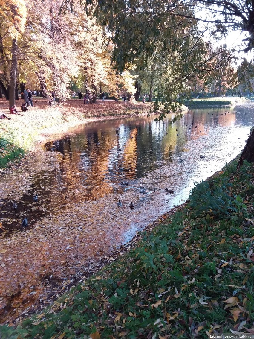 Золотая осень в Петербурге. Таврический сад