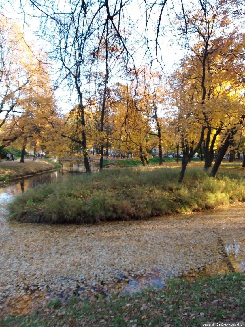 Золотая осень в Петербурге. Таврический сад