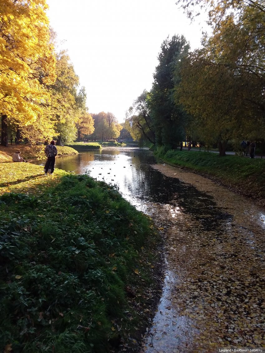 Золотая осень в Петербурге. Таврический сад