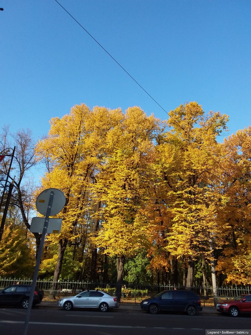 Золотая осень в Петербурге. Таврический сад (фото 5)
