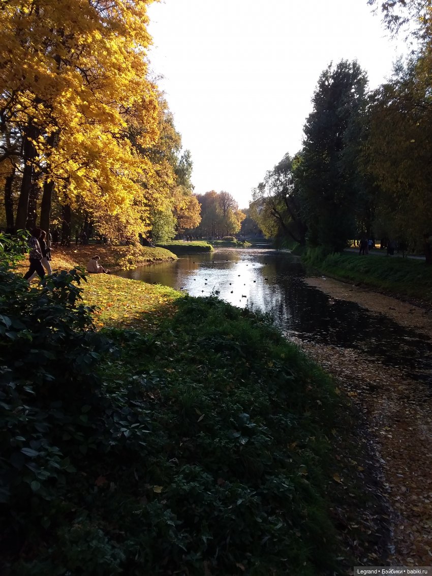 Золотая осень в Петербурге. Таврический сад